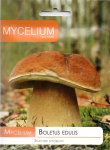 T&otilde;eline puravik Boletus edulis
