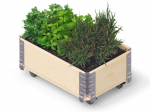 Ratastega lillekast Herbs Box, 600 x 400 x 195 mm