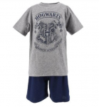 Laste pidžaam Hogwarts HarryPotter EV2032*01, tumehall/tumesinine 3609086172556, 116 cm