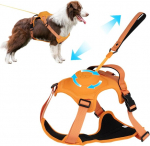 Reguleeritavad traksid ja jalutusrihm koertele, XL