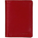 Passi ja krediitkaartide kate