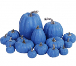 Dekoratiivsed k&otilde;rvitsad Benjia, 16 tk