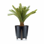Lillepott Moss, 34x32 cm, must