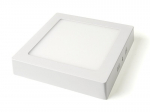 Koloreno LED paneel, 12 W, k&uuml;lm valge