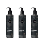 Meeste &scaron;ampoon k&otilde;ikidele juukset&uuml;&uuml;pidele Organic Shop, 3x280ml