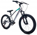 20-tolline poiste lasteratas MTB Shimano 6 k&auml;iku VERDANT Juniper