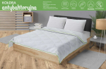 Antibakteriaalne h&otilde;beda ioonide vatitekk 155x200