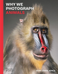 Why We Photograph Animals, Why We Photograph Animals