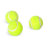 MASTER tennisepallid - 3 tk.