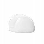 Elegantne valge portselanist salvr&auml;tikuhoidja Wilmax 12.5x8 cm