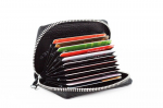 Kaardihoidja RFID Protect