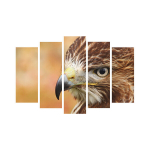 Viieosaline reproduktsioon Kotkas