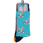 Lihav&otilde;ttesokid meestele Apollo Easter Socks, 2 paari