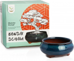 Sinine keraamiline bonsai kauss, 9x4,5x9 cm