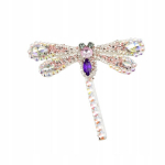 Applikatsioon valge Kiil v&auml;rviliste tsirkoonidega Putukas