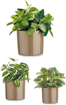 Ibergarden pottide komplekt, 3 tk, 14-22 cm, beež