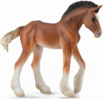 Figuur varss Collecta