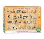 Pusle Eurographics, 6500-5354, Yoga is a Family Activity, 500 tk