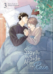 Stay by My Side After the Rain Vol. 3, Stay by My Side After the Rain Vol. 3