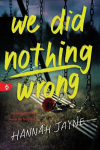 We Did Nothing Wrong, We Did Nothing Wrong