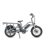 Elektriline jalgratas, JOBOBIKE Transer 20", hall v&auml;rvi
