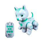 Interaktiivne kass - robot puldiga