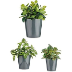Keraamilised potid - DKD HOME DECOR - 3-komplekt - 14-17-22 cm - Mitmev&auml;rviline