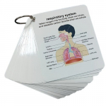 Inimkeha anatoomia kaartide komplekt