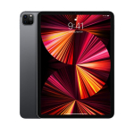 iPad Pro 11" 3.gen 256GB WiFi (Uuendatud, seisukord nagu uus)