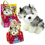 Pehmolelu haski kutsikas kotis