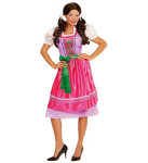 "DIRNDL" (p&otilde;llega kleit)