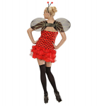 "LEPRATIINIK" (kleit, tiivad, antennid)