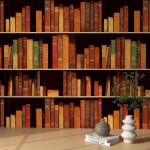 3D raamatukogu efektiga isekleepuv vin&uuml;&uuml;ltapeet Raamatud 44,5x700 cm