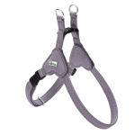 Koera rakmed Hunter SOHO MINI Lillla XXS/XS
