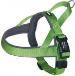 Nobby Classic Preno koerarakmed M/l, 35mm/50-64cm, roheline