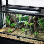 UVB T5 10.0 lamp terraariumile rakendusega juhitav Repti-Zoo, 8 W
