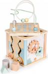 Ecotoys Wooden educational cube sorter blocks