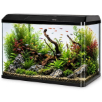 Akvaarium valgustuse ja kaanega 60 l Kruger Meier LAORIA Panoramic 600