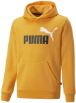 Poiste džemper Puma Ess+ 2Col Big Logo Yellow 586987 39 586987 39/164