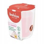 Bolsius l&otilde;hnak&uuml;&uuml;nal klaaspurgis True Scents Magnolia, 8 cm