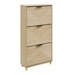 SoBuy Jalan&otilde;ukapp FSR213-N Tammepuit 60&times;24&times;120 cm 3 uksega