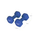 Hantlite komplekt 2x2,5 kg, sinine