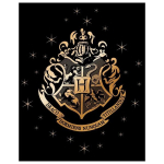 Harry Potteri fliistekk