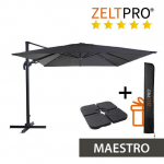 P&auml;ikesevari raskusplaadiga Maestro, hall