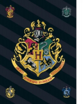 Pleed Harry Potter 100x140cm