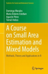 Course on Small Area Estimation and Mixed Models: Methods, Theory and Applications in R