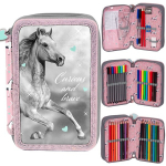 Kooli pinal koos tarvikutega Paso Horse