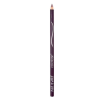 Huulepliiats Wet n Wild Coloricon 1,4 g, Plumberry