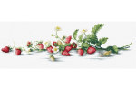 Tikkimiskomplekt Luca S SB2266