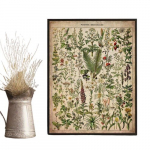 Vintage Taimed &Otilde;petlik L&otilde;uendiplakat, Taimede Seinatekst, 20,32x25,4 cm be rėmelio